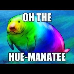 Meet your Posher, Samuel